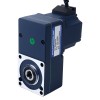 BLDC-Getriebemotor 24V 40W 100RPM 2,80Nm(396,51oz.in) mit 30:1 parallelem Hohlwellengetriebe