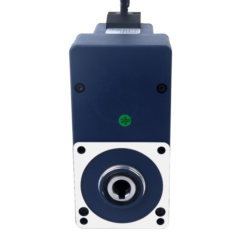 BLDC-Getriebemotor 24V 60W 100RPM 4,20Nm(594,77oz.in) mit 30:1 parallelem Hohlwellengetriebe