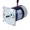 Gebürsteter 24V 40W 2,14Nm(303,05oz.in) 90RPM mit 20:1 Stirnradgetriebe-Gleichstromgetriebemotor