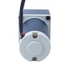 Gebürsteter 24V 30W 1,16Nm(164,27oz.in) 150RPM mit 20:1 Stirnradgetriebe-Gleichstromgetriebemotor