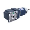 Gebürsteter 12V 60W 6,74Nm(954,46oz.in) 60RPM mit 30:1 rechtwinkligem Gleichstromgetriebemotor