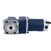 Gebürsteter 48V 150W 16,77Nm(2374,83oz.in) 60RPM mit 30:1 rechtwinkligem Gleichstromgetriebemotor