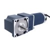 Gebürsteter 48V 150W 20.00Nm(2832,24oz.in) 30RPM mit 100:1 rechtwinkligem Gleichstromgetriebemotor