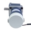 Gebürsteter 48V 250W 40,00Nm(5664,48oz.in) 10RPM mit 180:1 rechtwinkligem Gleichstromgetriebemotor