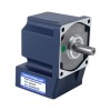 Gebürsteter 12V 60W 6,75Nm(955,88oz.in) 60RPM mit 50:1 rechtwinkligem Gleichstromgetriebemotor