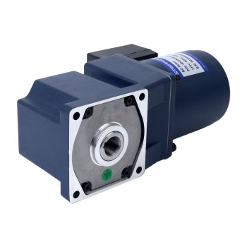 25W 110VAC 6,50Nm(920,48oz.in) Einphasiger Wechselstrom-Induktionsmotor mit rechtwinkligem Getriebe und Hohlwelle