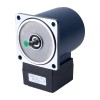25W 220VAC 50Hz 45RPM 4,04Nm(572,11oz.in) Flansch 80mm Einphasiger Wechselstrom-Induktionsmotor mit Stirnradgetriebe