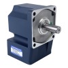 200W 110VAC 9-155RPM 10,00Nm(1416,1oz.in) Einphasiger AC-Motor mit variabler Drehzahl und rechtwinkligem Getriebe