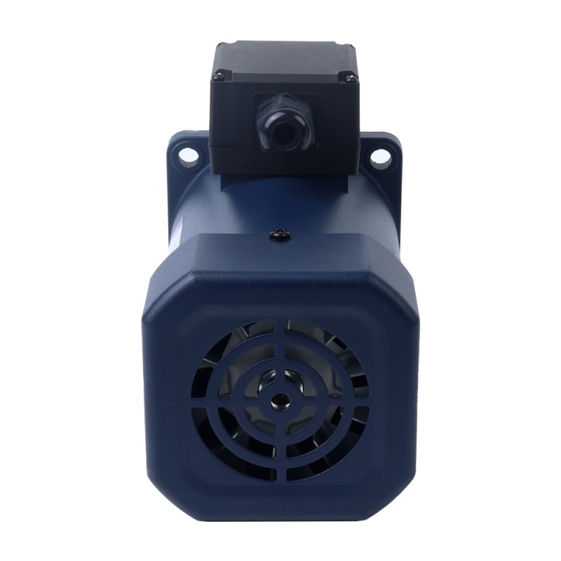 200W 220VAC/380VAC 60,00Nm(8496,70oz.in) 3-phasig Wechselstrom-Induktionsmotor mit rechtwinkligem Getriebe und Hohlwelle